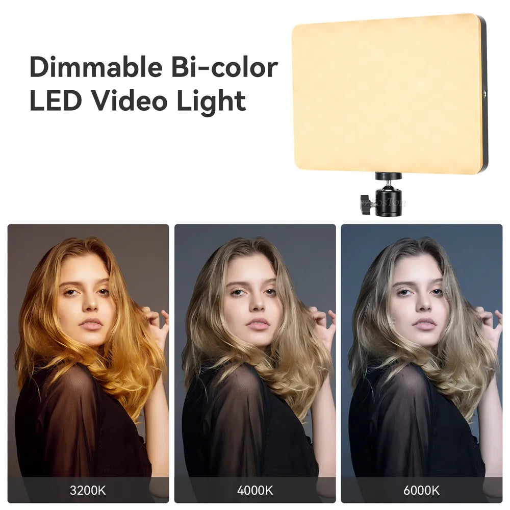 LED Video Panel Light - 8/12 Inch Photography Lighting