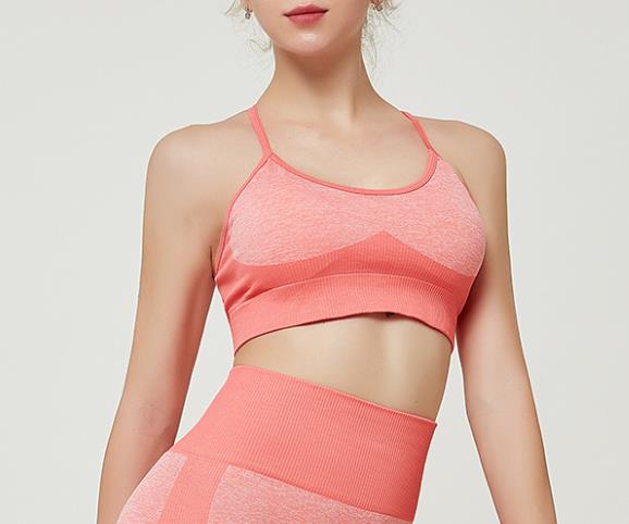 Women’s Seamless High-Waist Yoga Leggings & Sports Bra – 6 Colors, Sizes S–L